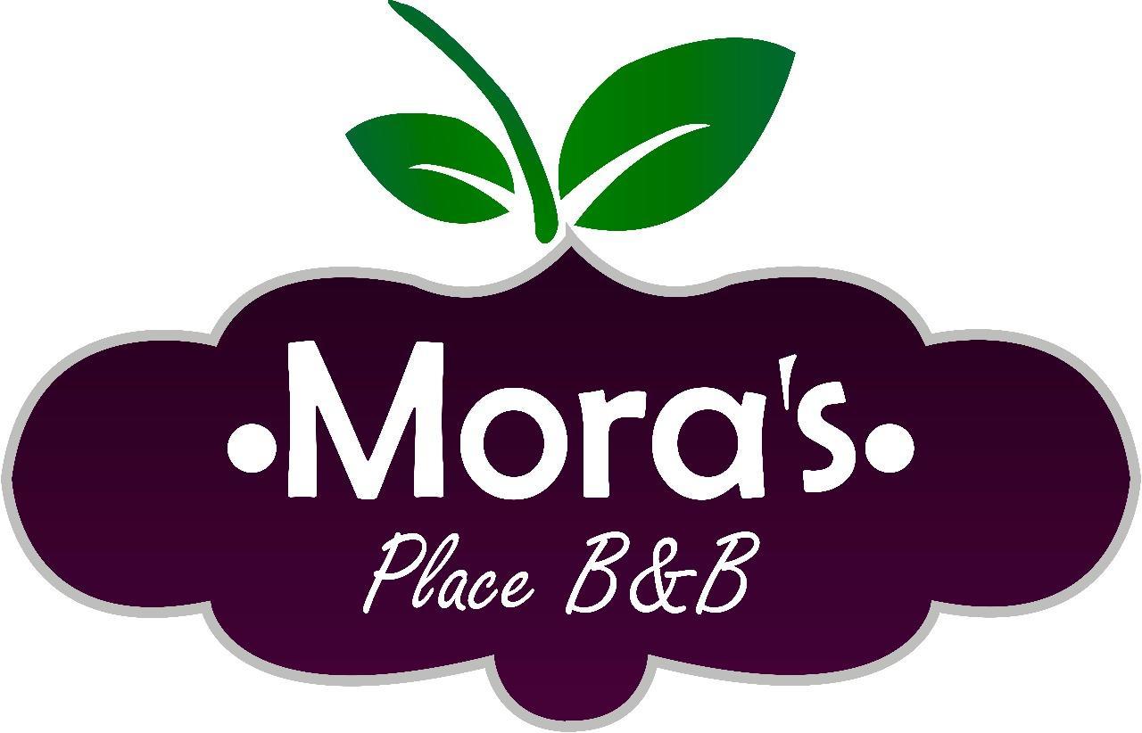 Mora'S Place B&B Monteverde Exterior photo